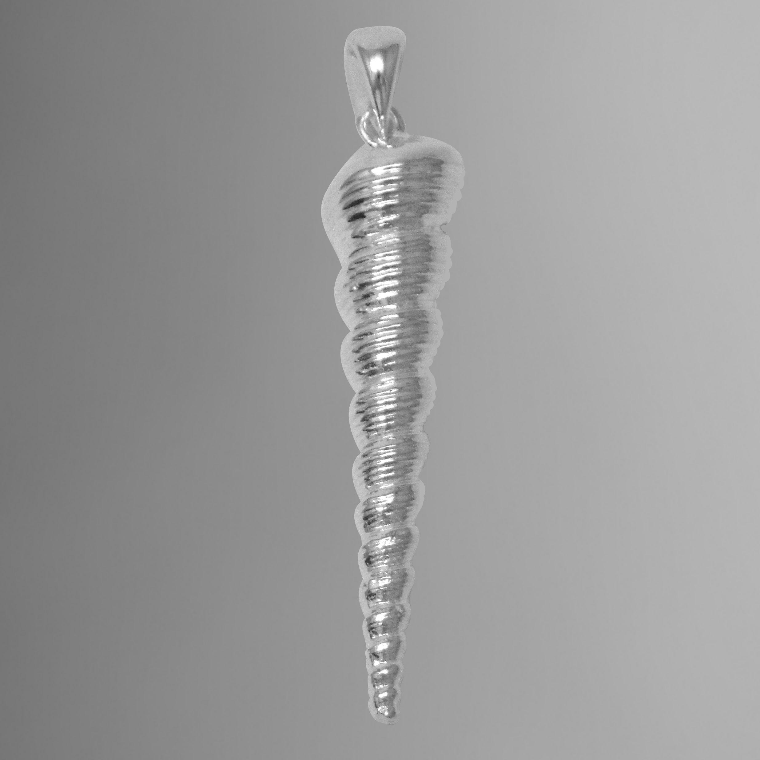 Screw turritella shell pendant.                                                                                                                                                                                                                           