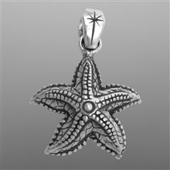 Starfish pendant.                                                                                                                                                                                                                                         
