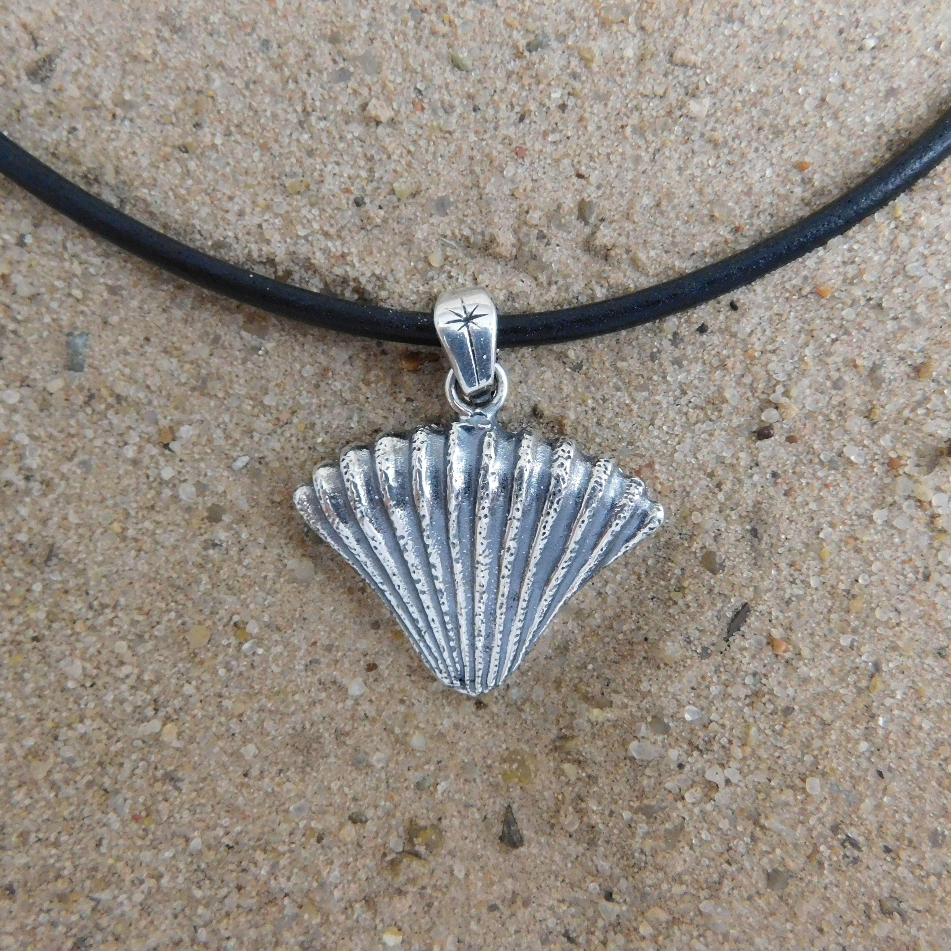 Silver shell on sand.                                                                                                                                                                                                                                     